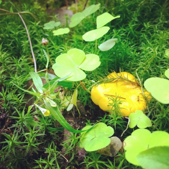 InstagramCapture_117debe3-2af1-40f8-bc73-f75746fe9623