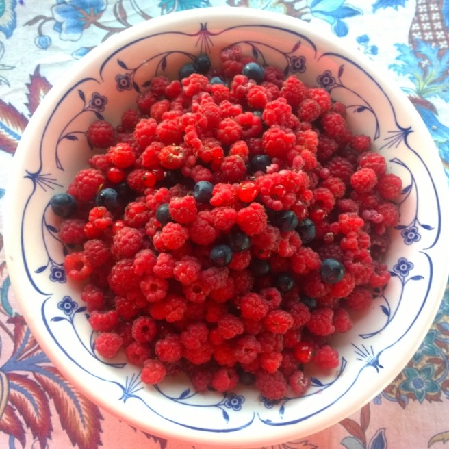 InstagramCapture_8c651216-6abb-4029-bb94-362005ca9db9