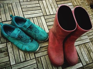 WP_20150803_007 (3) (1)