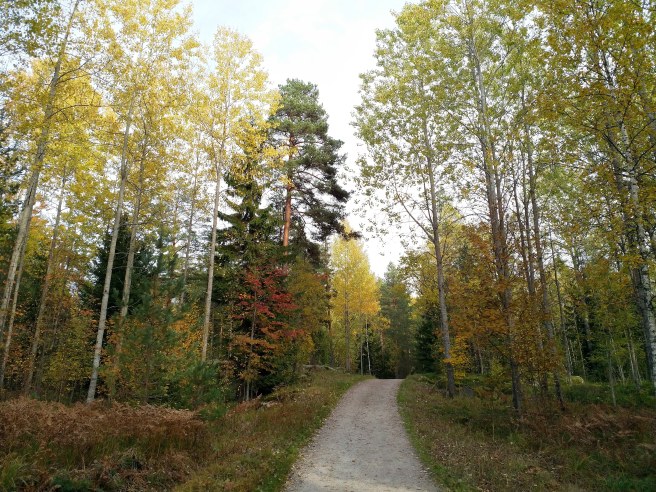 IMG_20181007_172842_809